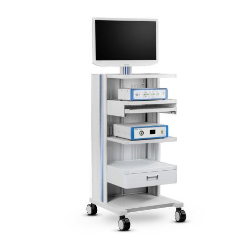 Sistema de discectomía interlaminar lumbar endoscópica