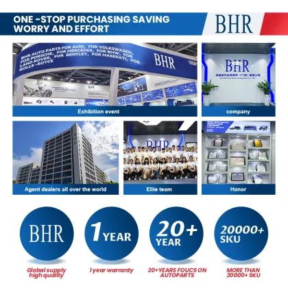 3D7839462 Auto Covering System Accessories: Power Window Regulator and Window Lifter for BHR