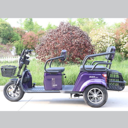 Electric leisure tricycle with noiless motor and controller