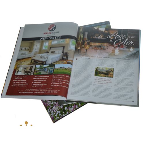 Professionele Full Color Paper Catalog Brochure Printing