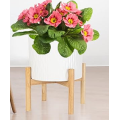 Adjustable Plant Stand Solid Wood Item Stand