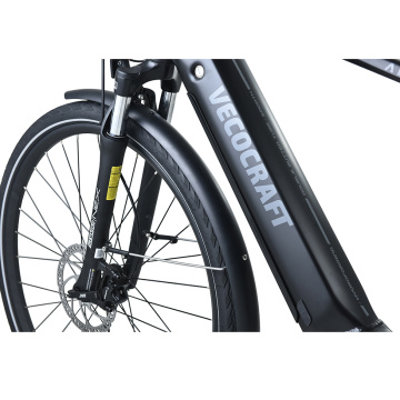 XY-Altus affordable electric bicycles for adult