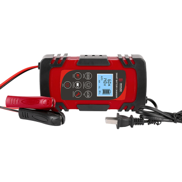12 V bis 48 V LifePO4 und Blei -Säure -Batterie -Ladegerät für 220 V/110 V Wechselstromeingang