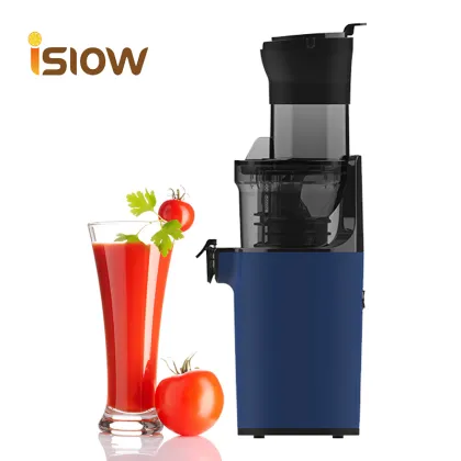 Masticating Steel Vacuum Portable Juicer: Small Portable Powder Juicer