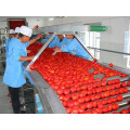 Linea di produzione di pasta di pomodoro (ketchup)