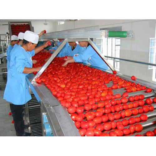 Línea de producción de pasta de tomate (Ketchup)