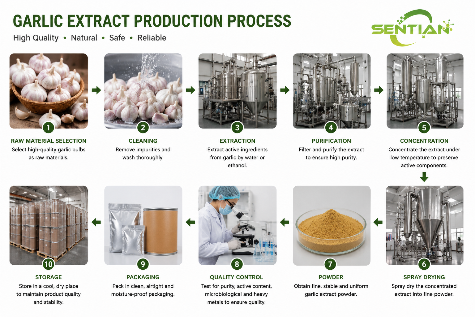 Garlic Extract production process