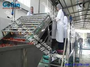 High Pressure Water Spray Fruit Washing Machine
