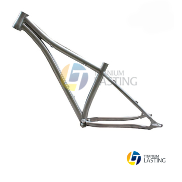 Grade 9 Titanium Disc Bike Frame