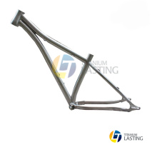 Grade 9 Titanium Disc Bike Frame