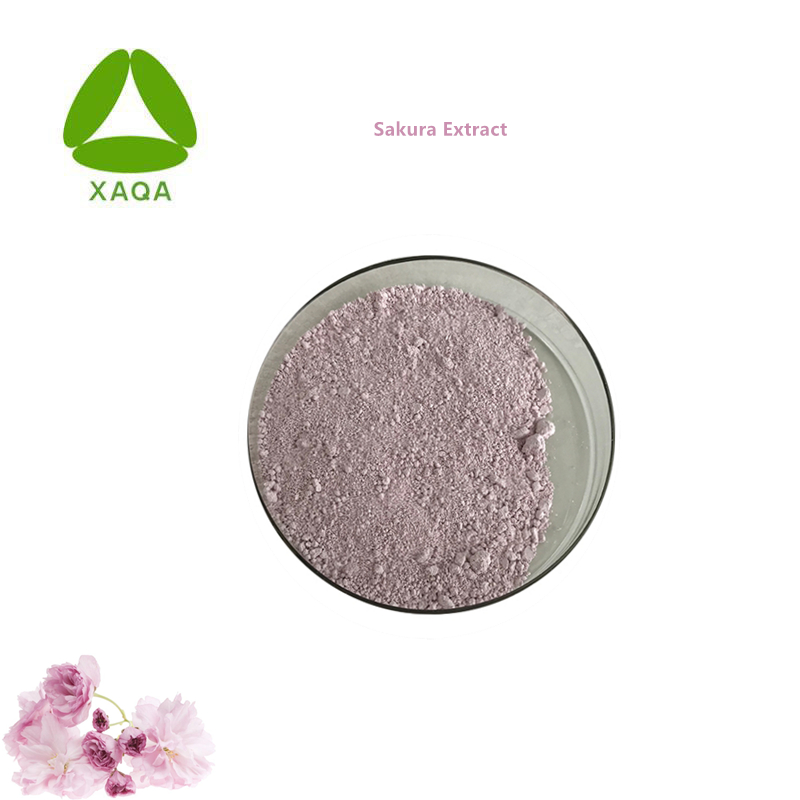  Sakura powder