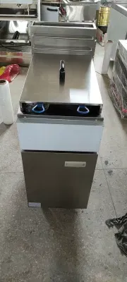 Canton Fair Hot Sale Commercial Standing Gas Deep Fryer with 2 Burner