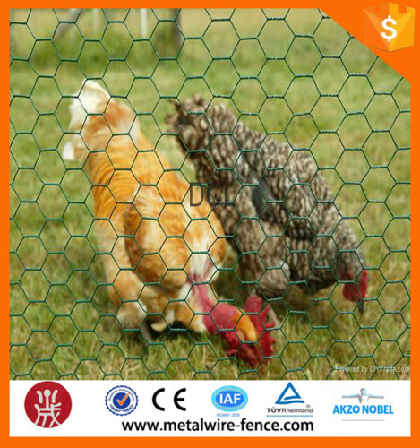 China supplier pvc coated hexagonal wire mesh