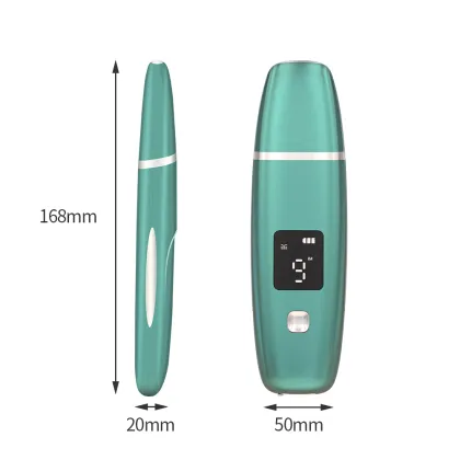 Foundation Ultrasonic Spatula Female Facial Beauty Tools