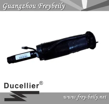 Mercedes Benz Left Front/ Right Front Hydraulic Shock Absorber W2203205813/2203205413