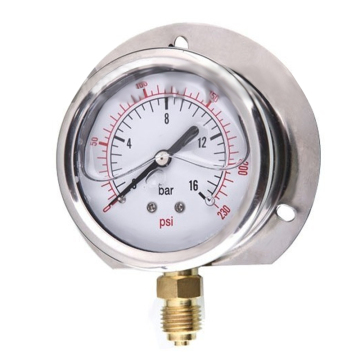 flange Shockproof pressure gauges
