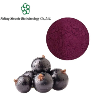 All-Natural Blackcurrant Powder for Baking and Cooking Needs