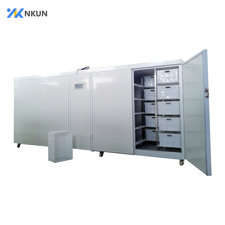 NKUN Commercial Bean Sprout Machine: Efficient and High-Yield Solution for Sprout Production