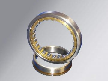 Double Row Cylindrical Roller Bearing (3182164/NN3064K)