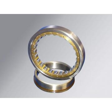 Double Row Cylindrical Roller Bearing (3182164/NN3064K)