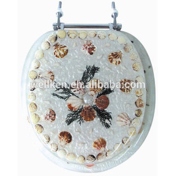 transparent resin toilet seat