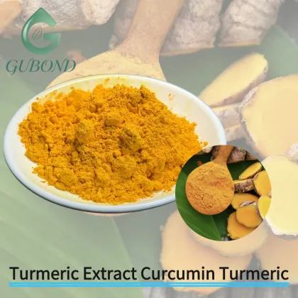Turmeric Extract Curcumin-Rich Ingredient Nutritional Cosmetic