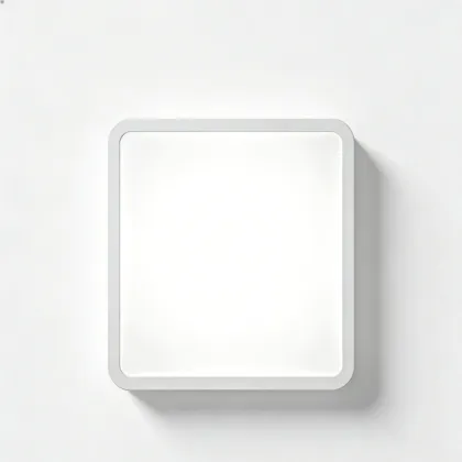 LED ceiling light for interior harmony