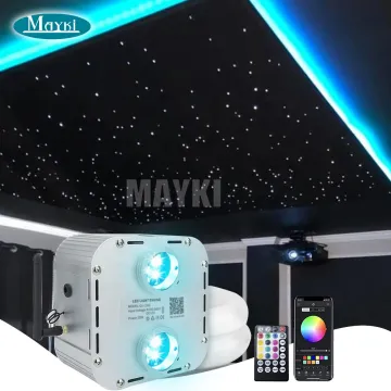 RGBW Twinkle LED Fiber Optic Car Ceiling Starlight