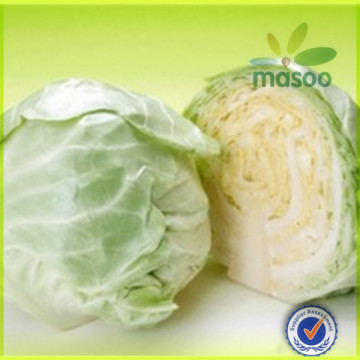 Bulked Chinese Fresh cabbage for sale, fresh vegetables, cabbage with good quality