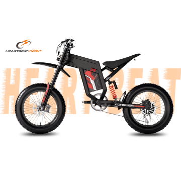 D5 Electric Trail Bike