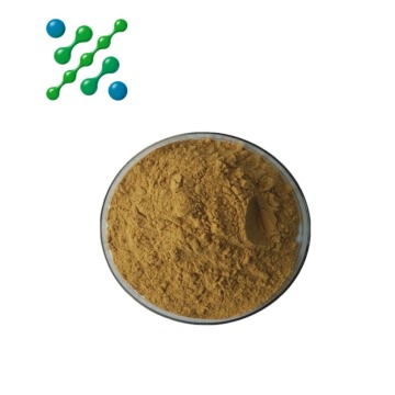 Oleuropein/Hydroxytyrosol