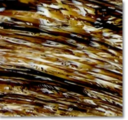 The trend of cellulose acetate sheets for toiletries material