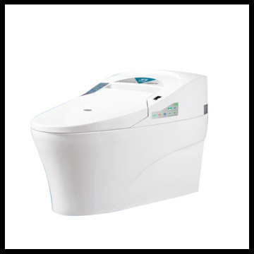 Bathroom good quality ceramic intelligent toilet chaoan factory smart toilet LW-8889