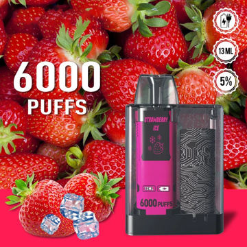 Disposable Vape 5000 Puffs Wholesale Pakistan