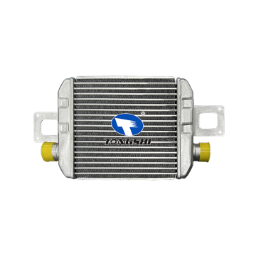 Auto Spare Part OEM 179400W010 Aluminum Intercooler for Dutro Dyna 130HT/130HD