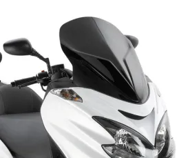 Scooter Screen