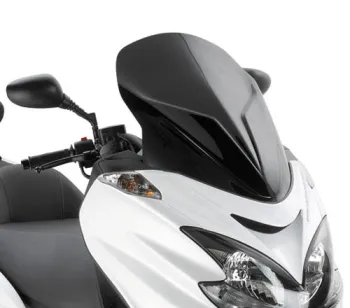 Scooter Screen