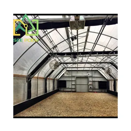 Skyplant Greenhouse HPS DE 1000w Grow Light System