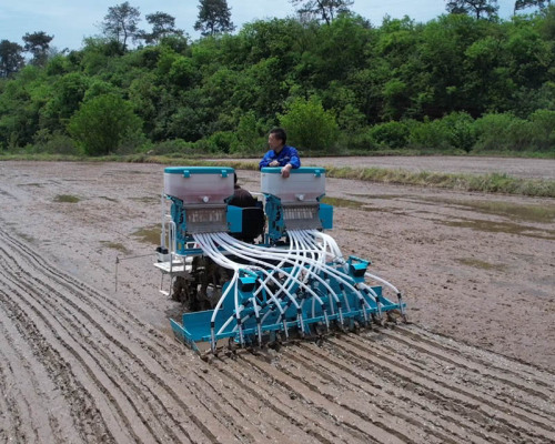 8/12 Rows Paddy Rice direct seeding machine for Kubota Yanamr Rice Transplanter