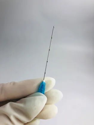 blunt tip needles cannula micro blunt cannulas