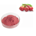 Natural Bulk Red Beetroot Concentrate Juice Extract Powder