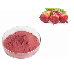 Natural Bulk Red Beetroot Concentrate Juice Extract Powder