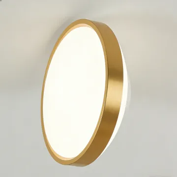 Gentle brightness home ceiling light