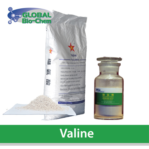 Quudinta Fasalka Feejignaan ee koritaanka Xayawaanka