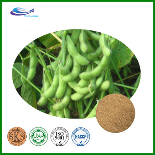 Soybean-Extract-Soy-Isoflavones