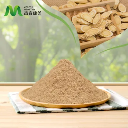 High Quality Astragalus Root Extract