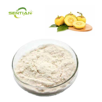 Natural Garcinia cambogia extract powder