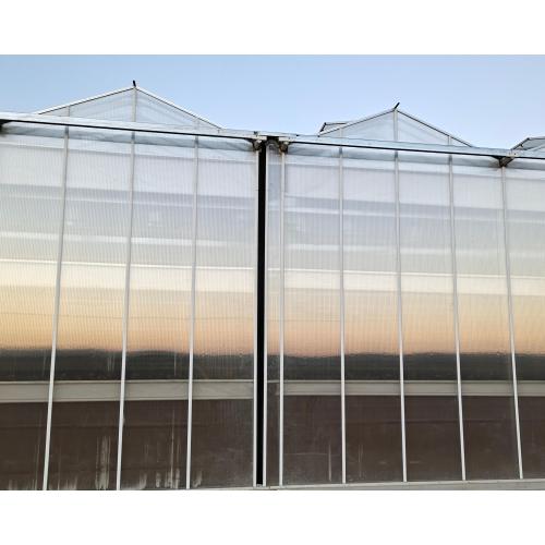 Aluminum Gutter Polycarbonate Greenhouse