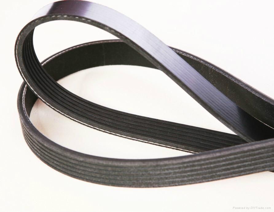 Ribbed V Belt (5)