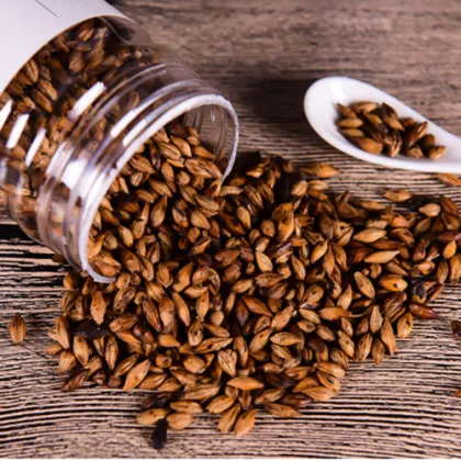 Bariatric barley Tea Natural Organic